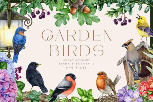 Download Garden Birds Watercolor Illustration Set - Set Collection